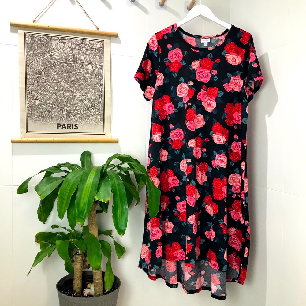 COPY - Lularoe Carly Dress